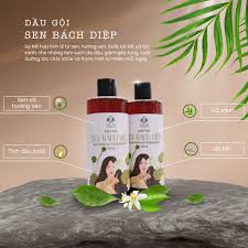 Dầu gội thảo dược